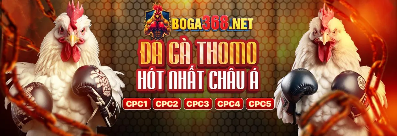 Hình ảnh minh họa các lợi ích và tính năng nổi bật của MGM88 link mới